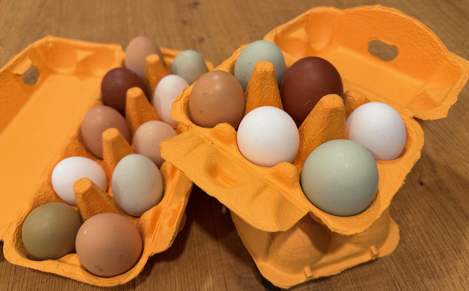 Frische Eier im Korb